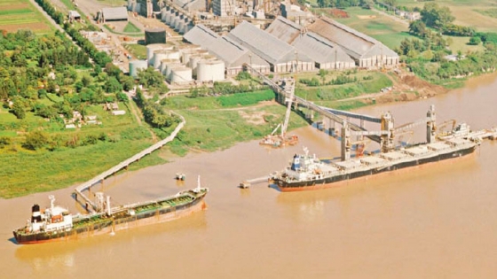 El 14% de la capacidad de almacenaje comercial fija del país está ubicada en los puertos graneleros del Gran Rosario