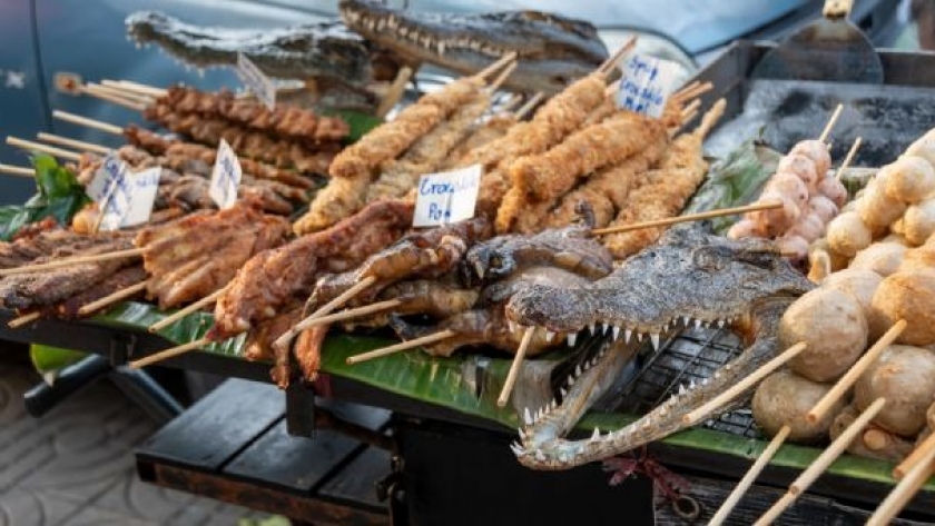 Un viaje culinario inigualable