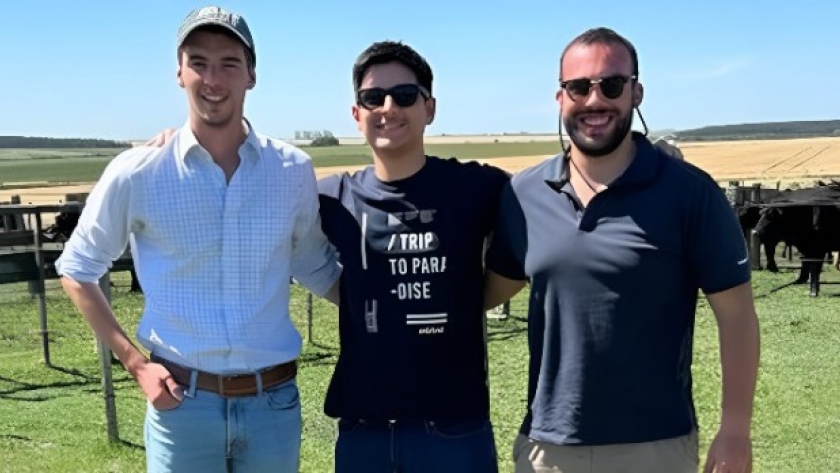 Pesan ganado con drones e inteligencia artificial: la innovación uruguaya que revoluciona el agro