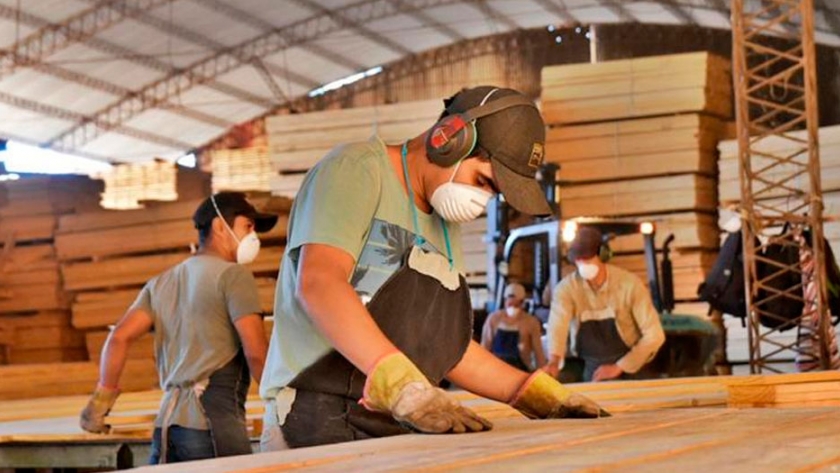 Construcción y demanda de madera activaron más al NEA