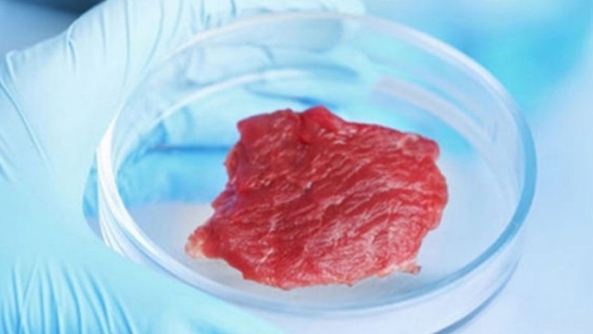 La carne cultivada en la Argentina ya es un hecho