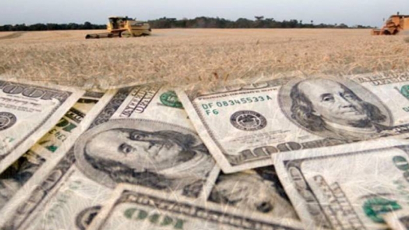 Buen pronóstico: el campo aportaría más divisas que en 2020