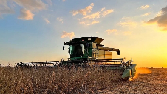 <La cosecha de soja concluye con 50,5 millones de toneladas, duplicando la del año pasado