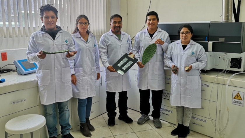 Biopolímero de papa y nopal para remover metales pesados del agua ganó premio a la Patente Verde