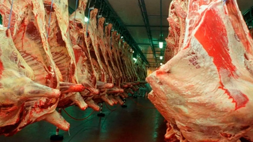 Carne vacuna: las exportaciones cayeron en US$455,5 millones