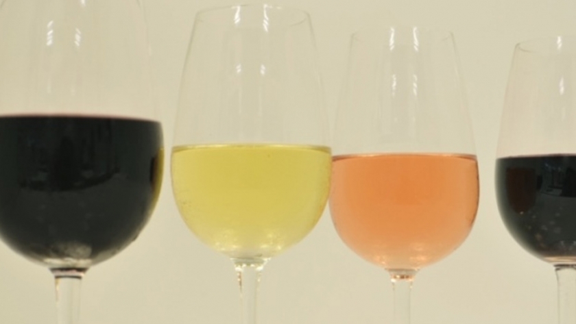 El INV brindará una capacitación gratuita sobre introducción a la vitivinicultura en Tunuyán