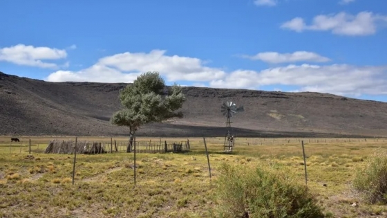 Sequía en Neuquén: Nación declaró la emergencia agropecuaria hasta junio de 2026