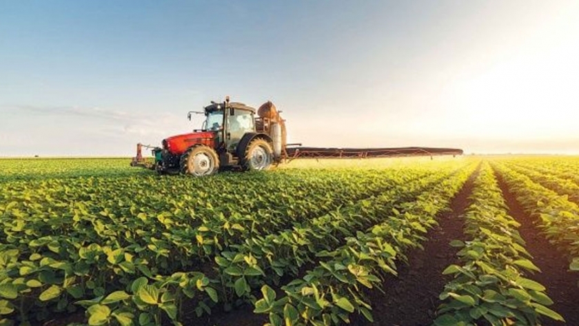 Tecnología y mejora en los precios agrícolas: los dos puntos que favorecieron a la Pampa Húmeda