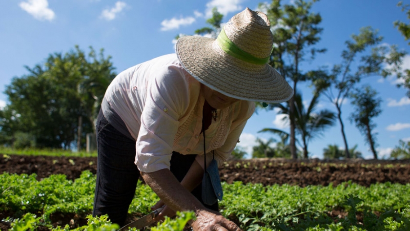 "Rukan": un colectivo que promueve la agroecología
