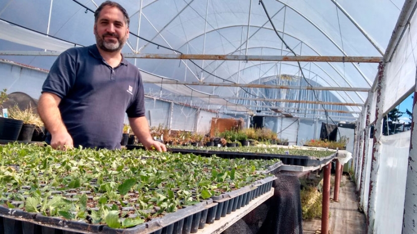 El INTA presentó dos nuevas variedades de flores para esta primavera