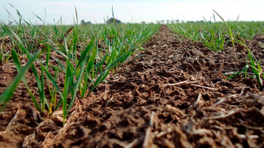 Nuevo protocolo de Agricultura Sustentable Certificada