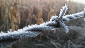 El invierno se afianza: heladas intensas y lluvias escasas golpean al agro del Cono Sur