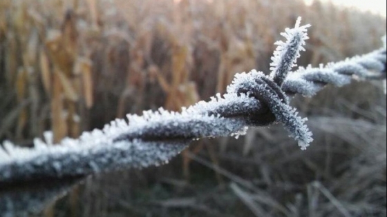 El invierno se afianza: heladas intensas y lluvias escasas golpean al agro del Cono Sur