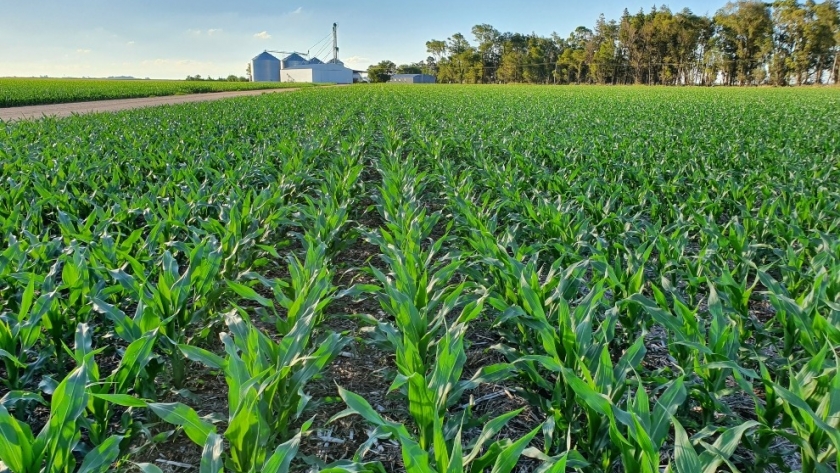 Startup de Río Cuarto se lanza al mercado agrícola de EE.UU.