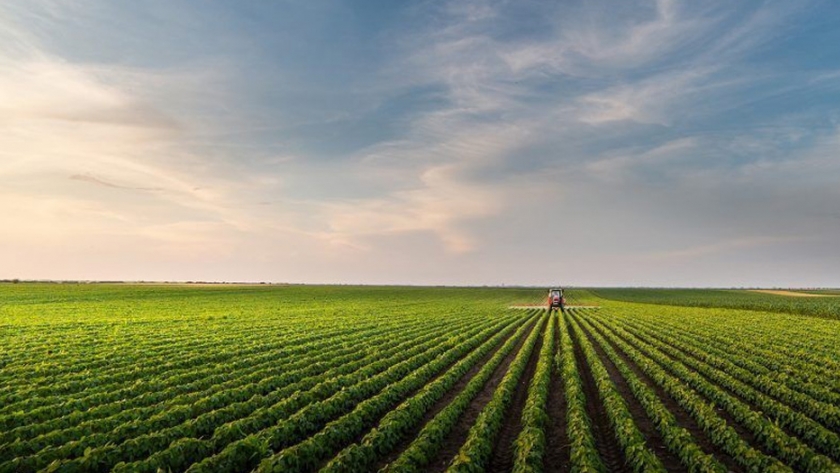 Sembrando las semillas de la agricultura industrial en Mozambique