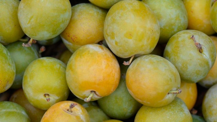 Ciruela, el laxante natural