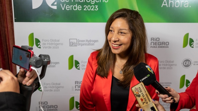 Carreras sobre el ingreso de la Ley de Hidrógeno: “Es una gran noticia”