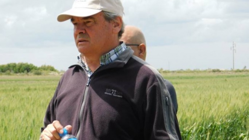 El señor de la cebada: Mario Cattáneo siguió de cerca el crecimiento de ese cultivo en el país y hoy lo posiciona como una de las cartas fuertes en el mercado externo
