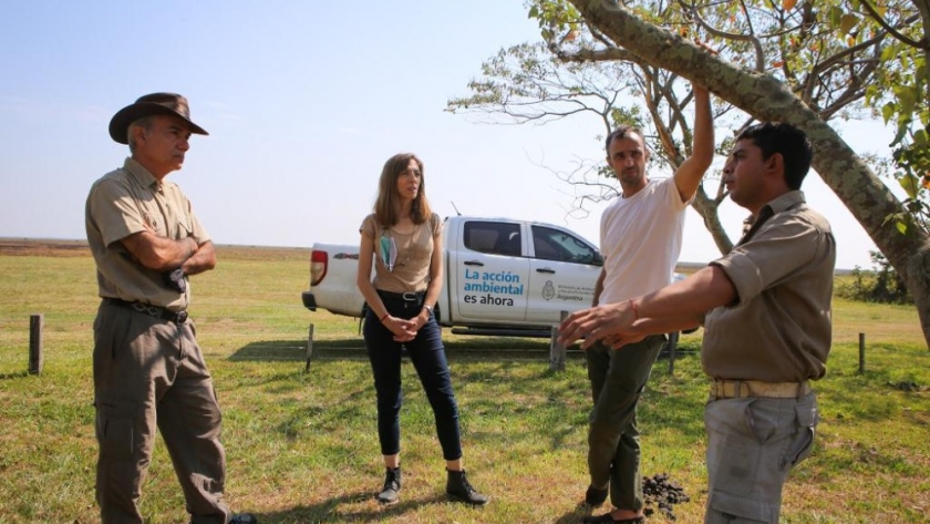 Ambiente lidera un equipo de trabajo para el rescate de fauna silvestre afectada por el fuego en el norte