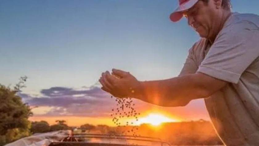 Paraguay entre los mejores del mundo en la producción y exportación de soja
