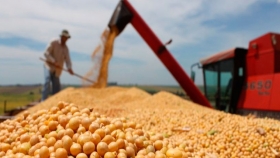 Un mismo producto, pero en un barco diferente: se potencia el divorcio de la soja Mercosur respecto de la estadounidense