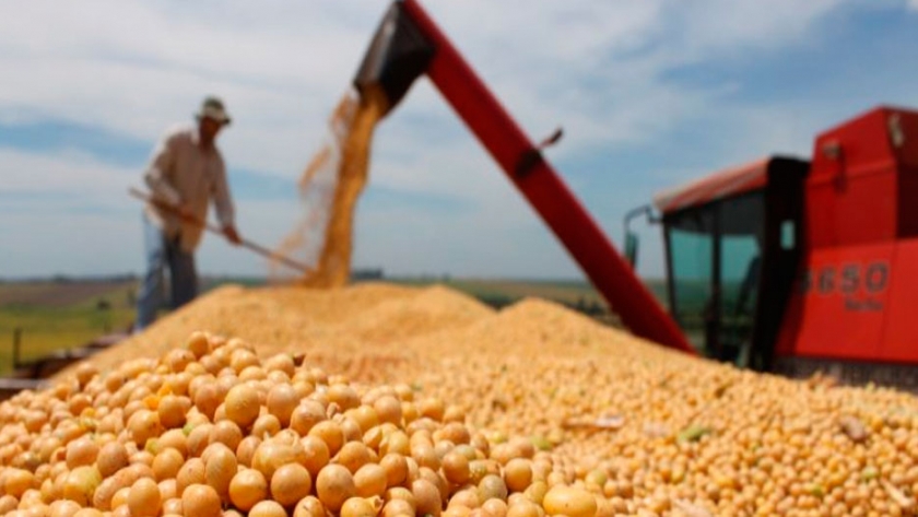 Un mismo producto, pero en un barco diferente: se potencia el divorcio de la soja Mercosur respecto de la estadounidense