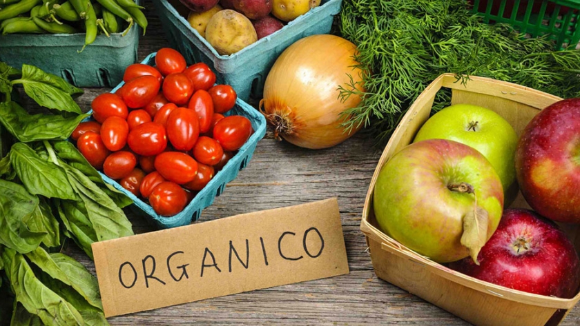 Potencian la producción orgánica en las provincias del NOA