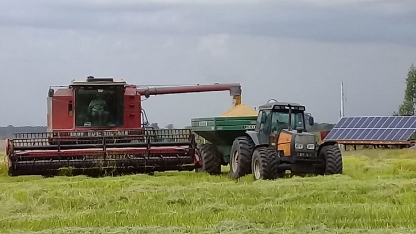 Exitosa prueba piloto en energías alternativas para riego de cultivo de arroz