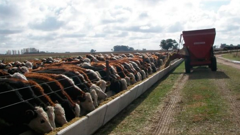 Diseño de instalaciones de arribo para Feedlot