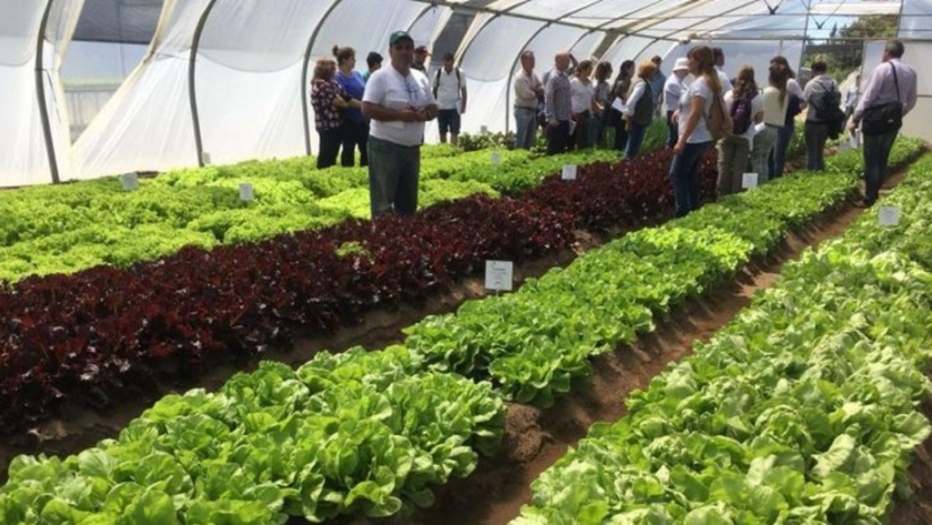 Anunciaron la XXII Jornada Hortícola del Centro Regional de Educación Tecnológica