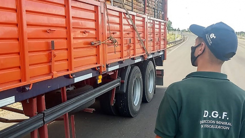 La provincia controla en rutas a camiones que transportan frutas frescas y jugos
