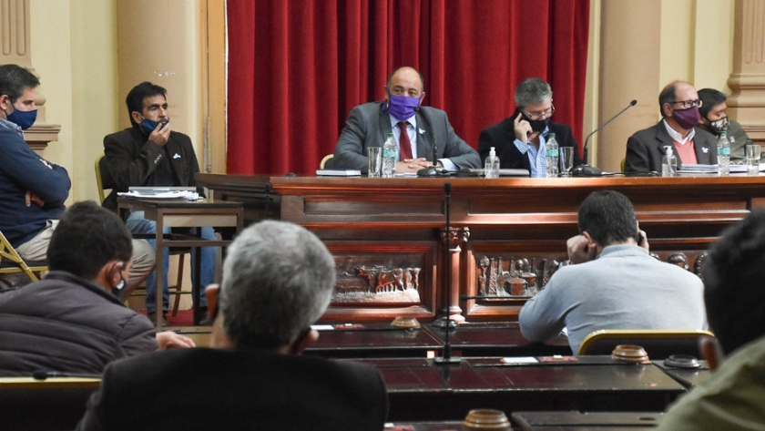 Dib Ashur informó a diputados las acciones económicas de la Provincia ante la pandemia Covid-19