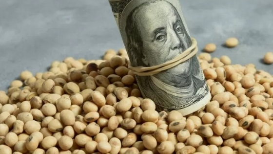 La soja Rosario disponible alcanzó un máximo de 170.000 $/tonelada en el primer día de vigencia del segundo tramo del “dólar soja 4”