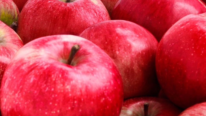 Detectan disminución de larvas en peras y manzanas de la Patagonia