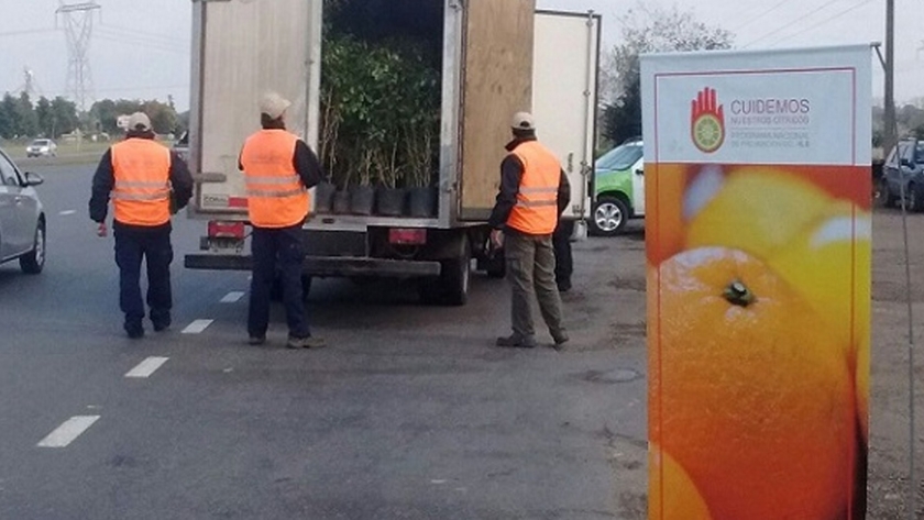 HLB: Continúan los controles a transportes en rutas del norte bonaerense