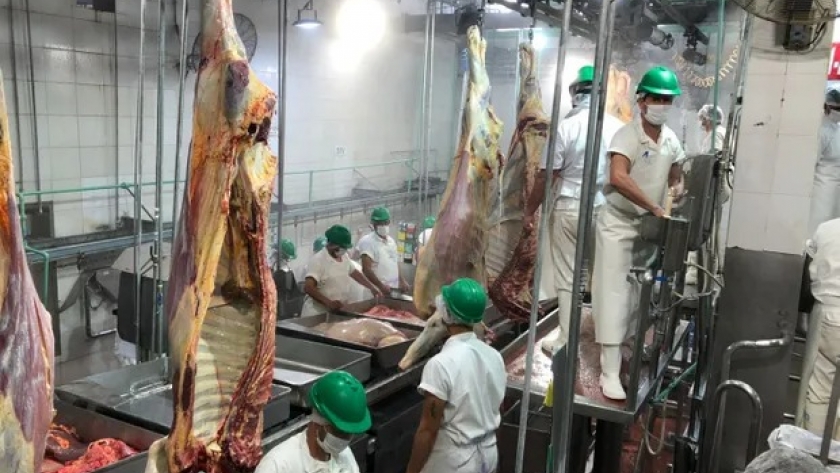 El Gobierno pone la lupa sobre un importante frigorífico de la zona norte del Gran Buenos Aires