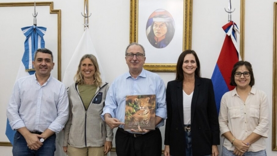 Fundación Rewilding Argentina impulsa conservación y turismo de naturaleza en el Alto Iguazú