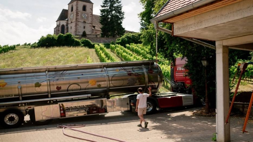 Gel antibacterial: el destino de la cosecha de vino blanco 
