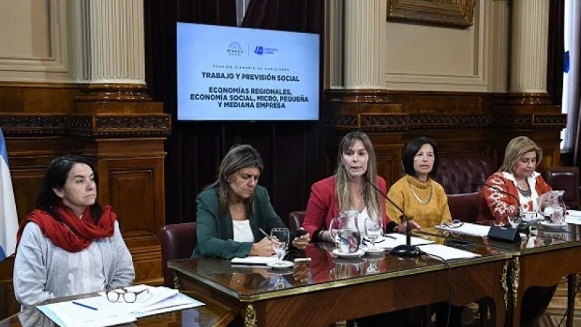 El Senado reactivó la agenda del agro y trató dos proyectos para economías regionales