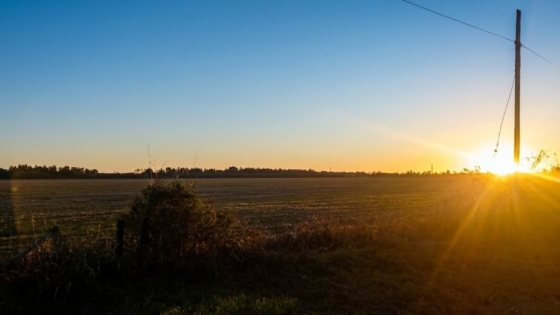 La tierra agrícola se consolida como refugio de inversión y dispara la demanda de campos en el norte bonaerense