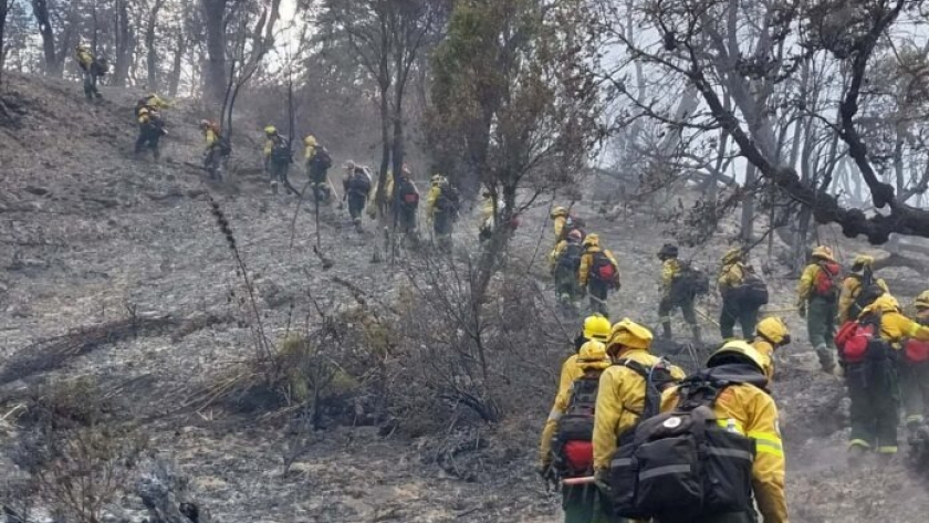 UNESCO manifestó su preocupación y solidaridad con los brigadistas que combaten el incendio del Parque Nacional Los Alerces