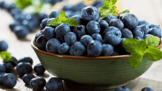 Innovación en el agro: nuevas variedades de arándanos argentinos apuntan a liderar mercados internacionales