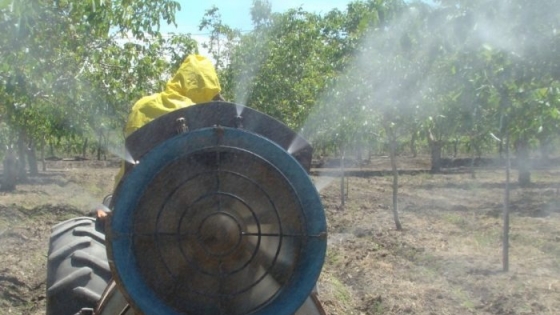 Productores afectados por contingencias climáticas pueden acceder a créditos blandos para financiar tareas de campo