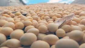 Brasil podría importar soja desde Argentina