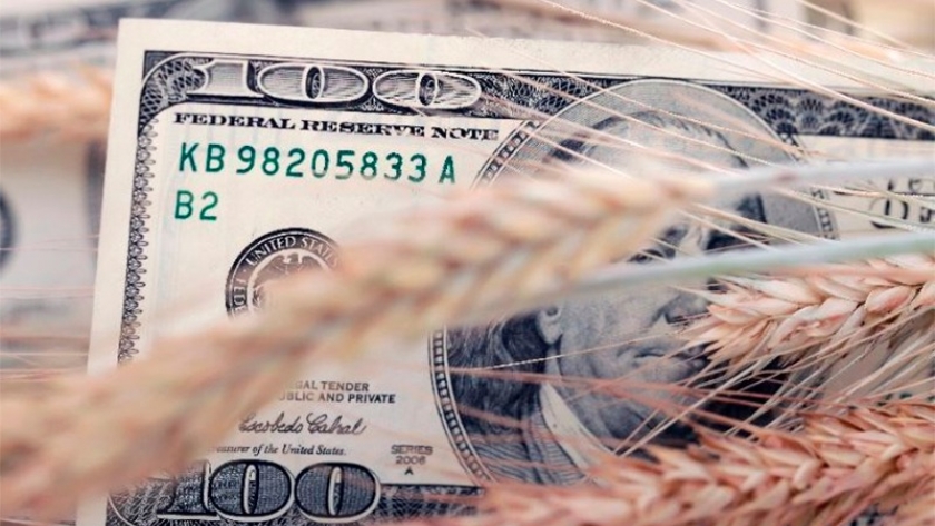 Exportaciones: se liquidaron casi US$23 mil millones en cuatro meses