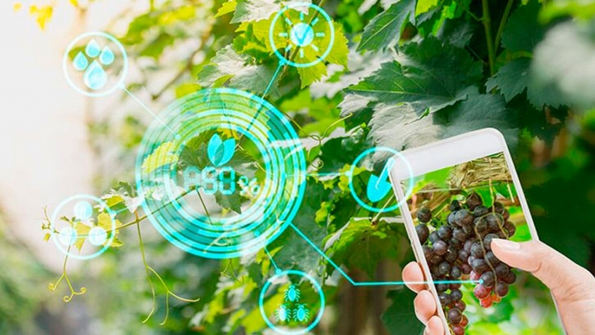 5 startups argentinas dedicadas al AgTech en auge