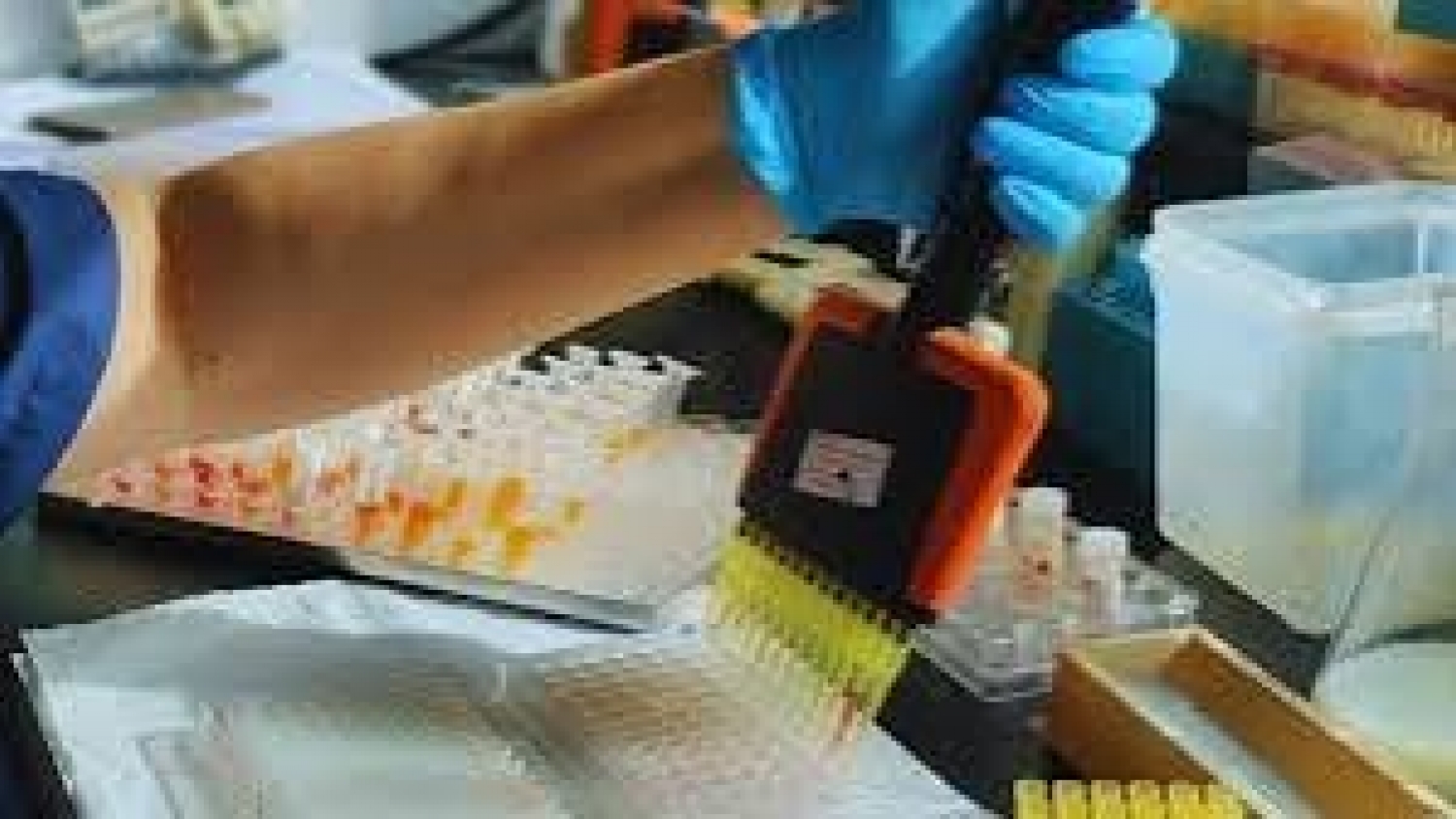 INTA moderniza un laboratorio estratégico para ampliar la producción de una vacuna clave contra la tristeza bovina