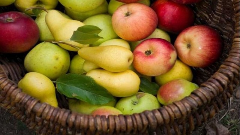 Latinoamérica: La nueva meca de las manzanas y peras argentinas