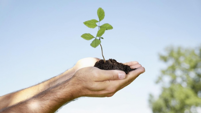 Cambio global: ¿por qué son tan importantes las reservas de carbono en el suelo?