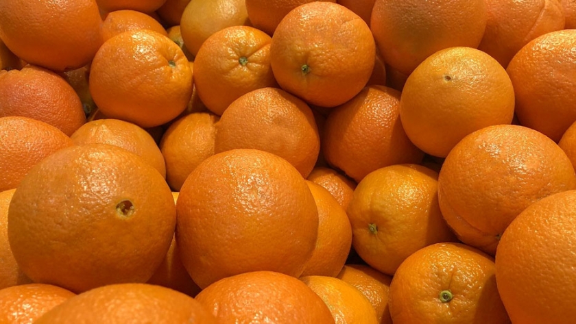 Las naranjas argentinas no podrán entrar a Europa